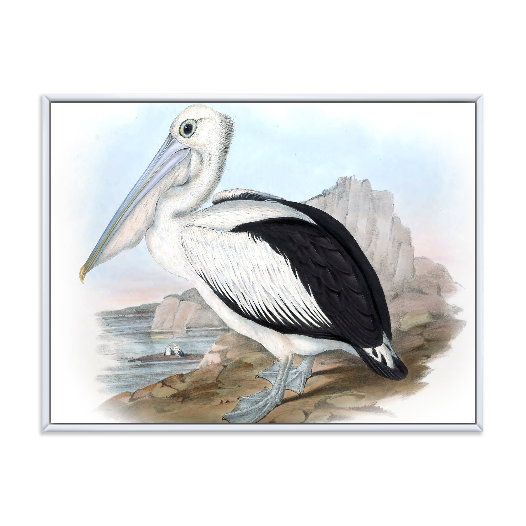 Designart 'Ancient Australian Birds VIII' Traditional Framed Canvas Wall Art Print
