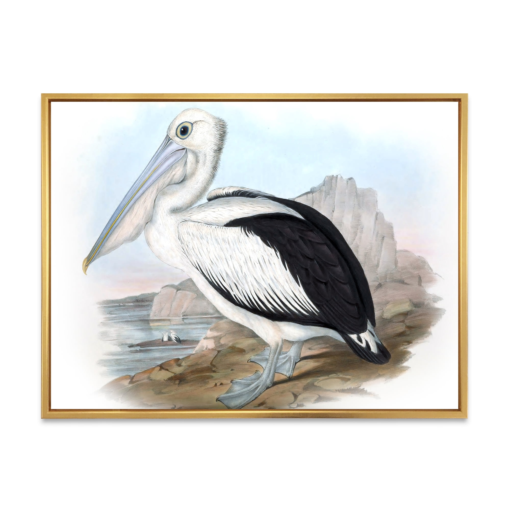 Designart 'Ancient Australian Birds VIII' Traditional Framed Canvas Wall Art Print