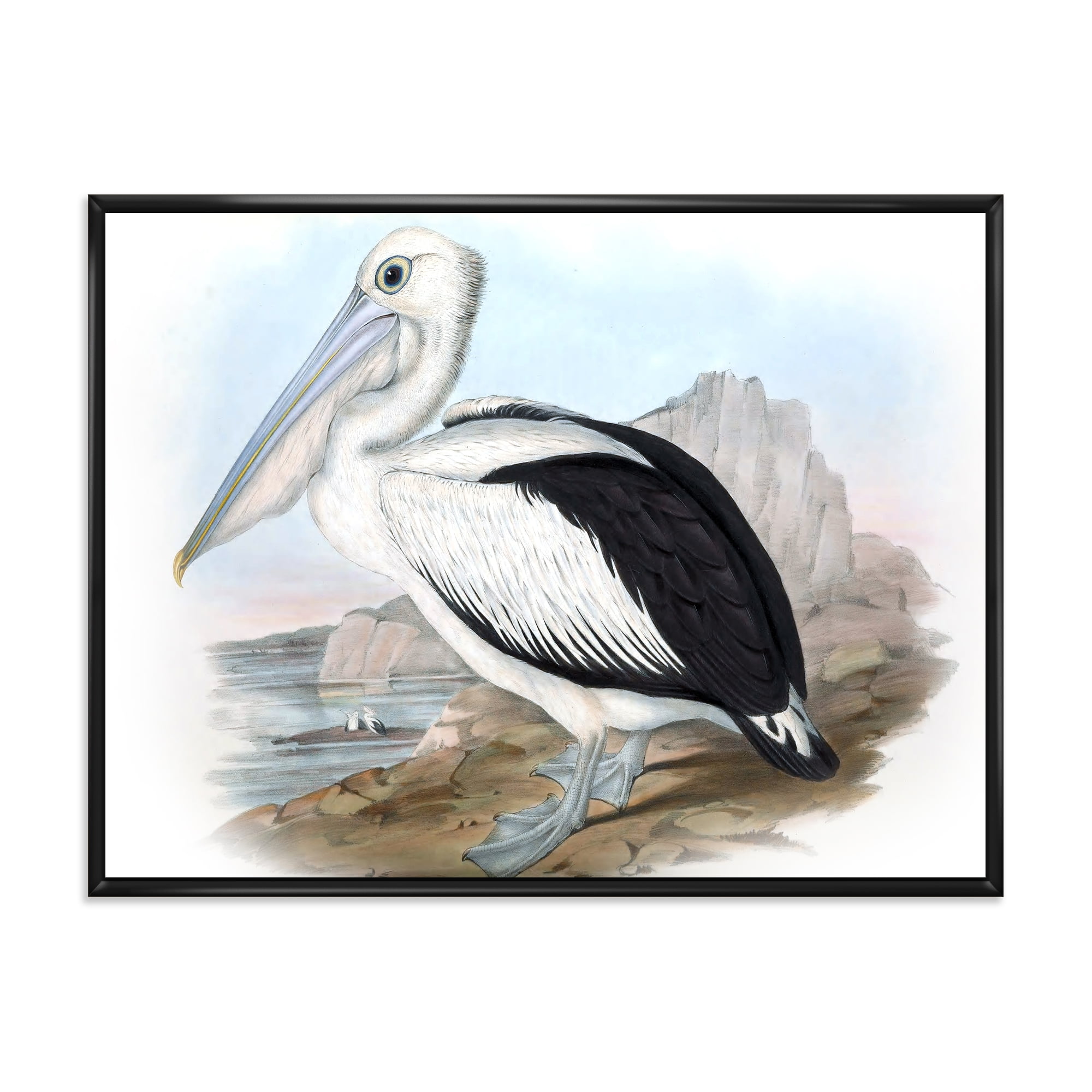 Designart 'Ancient Australian Birds VIII' Traditional Framed Canvas Wall Art Print