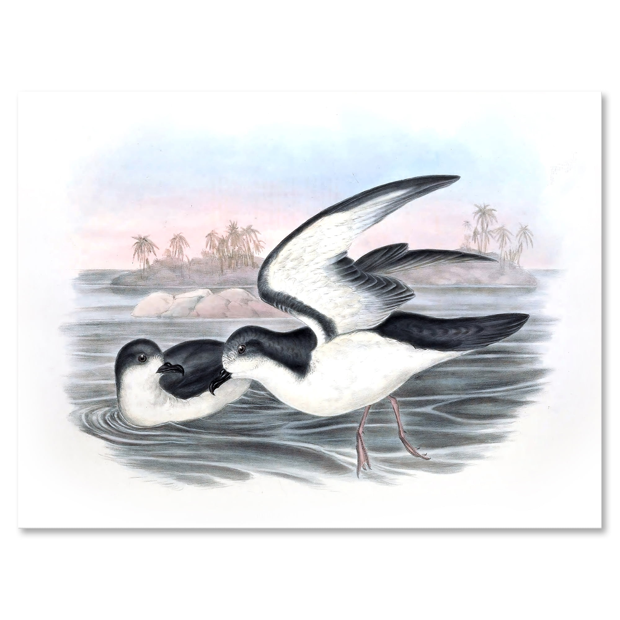 Designart ' Ancient Australian Birds X ' Traditional Canvas Wall Art Print