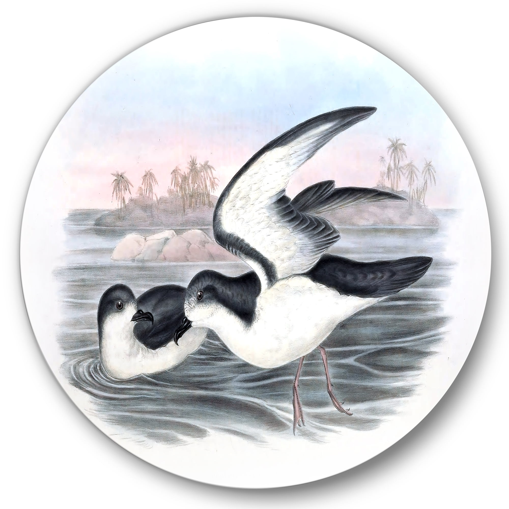 Designart 'Ancient Australian Birds X' Traditional Circle Metal Wall Art 36x36 - Disc of 36