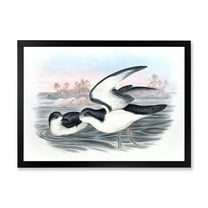 Designart 'Ancient Australian Birds X' Traditional Framed Art Print