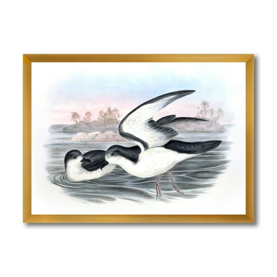 Designart 'Ancient Australian Birds X' Traditional Framed Art Print