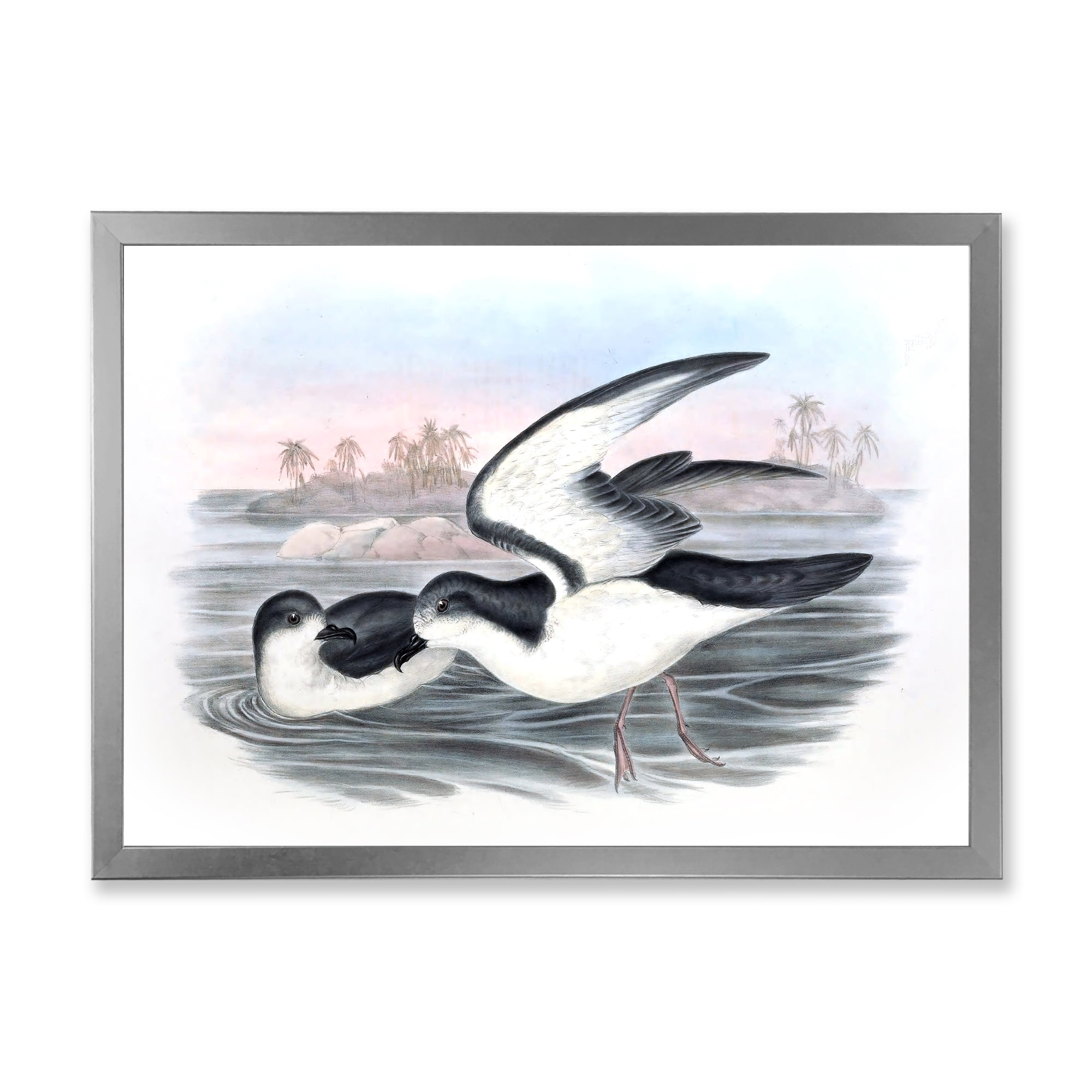 Designart 'Ancient Australian Birds X' Traditional Framed Art Print