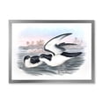 thumbnail image 1 of Designart 'Ancient Australian Birds X' Traditional Framed Art Print, 1 of 4