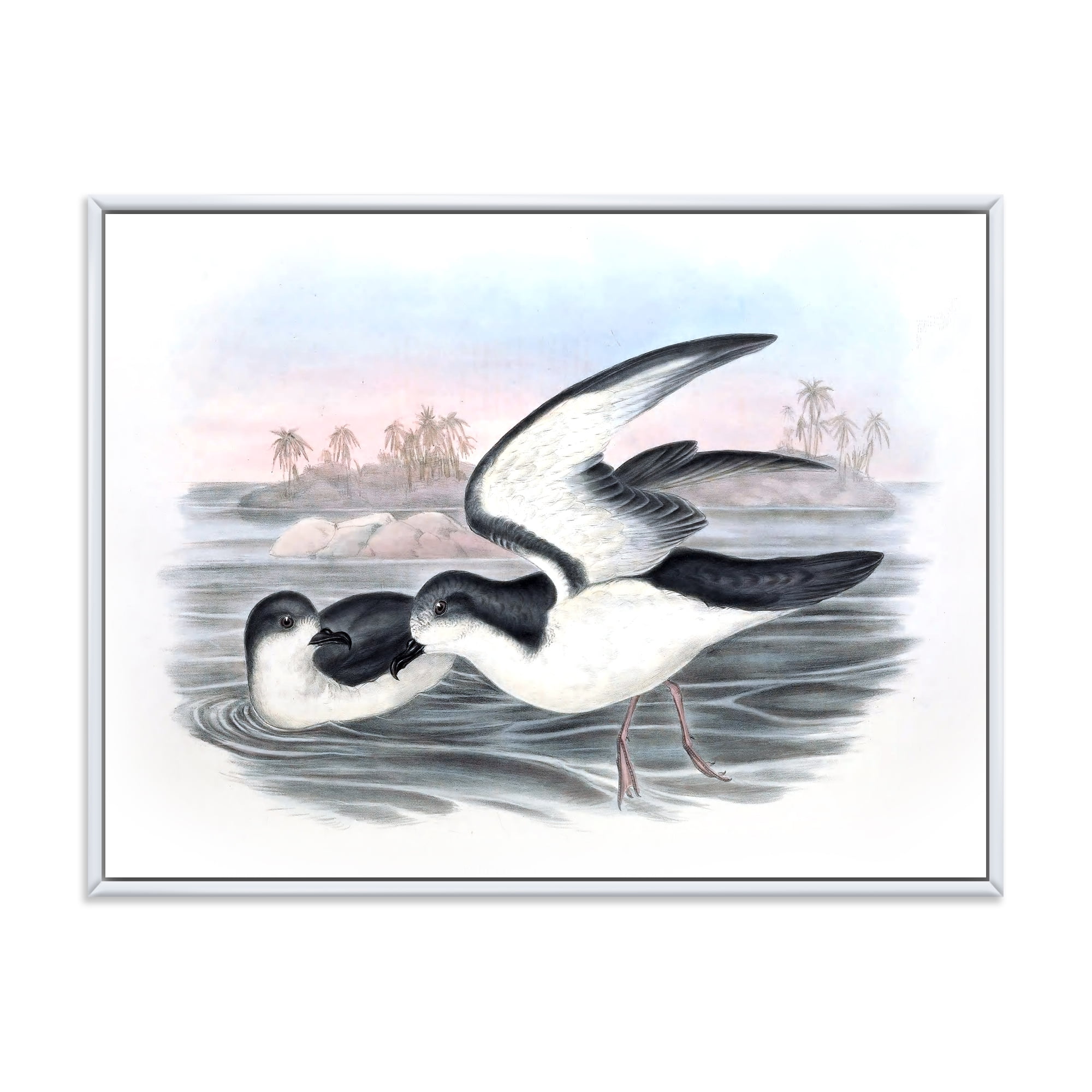 Designart 'Ancient Australian Birds X' Traditional Framed Canvas Wall Art Print