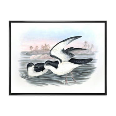 Designart 'Ancient Australian Birds X' Traditional Framed Canvas Wall Art Print