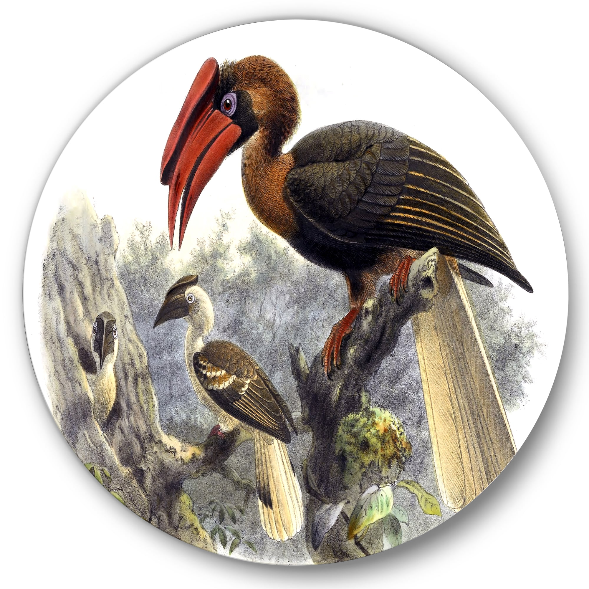 Designart 'Ancient Australian Birds XI' Traditional Circle Metal Wall Art 11x11 - Disc of 11