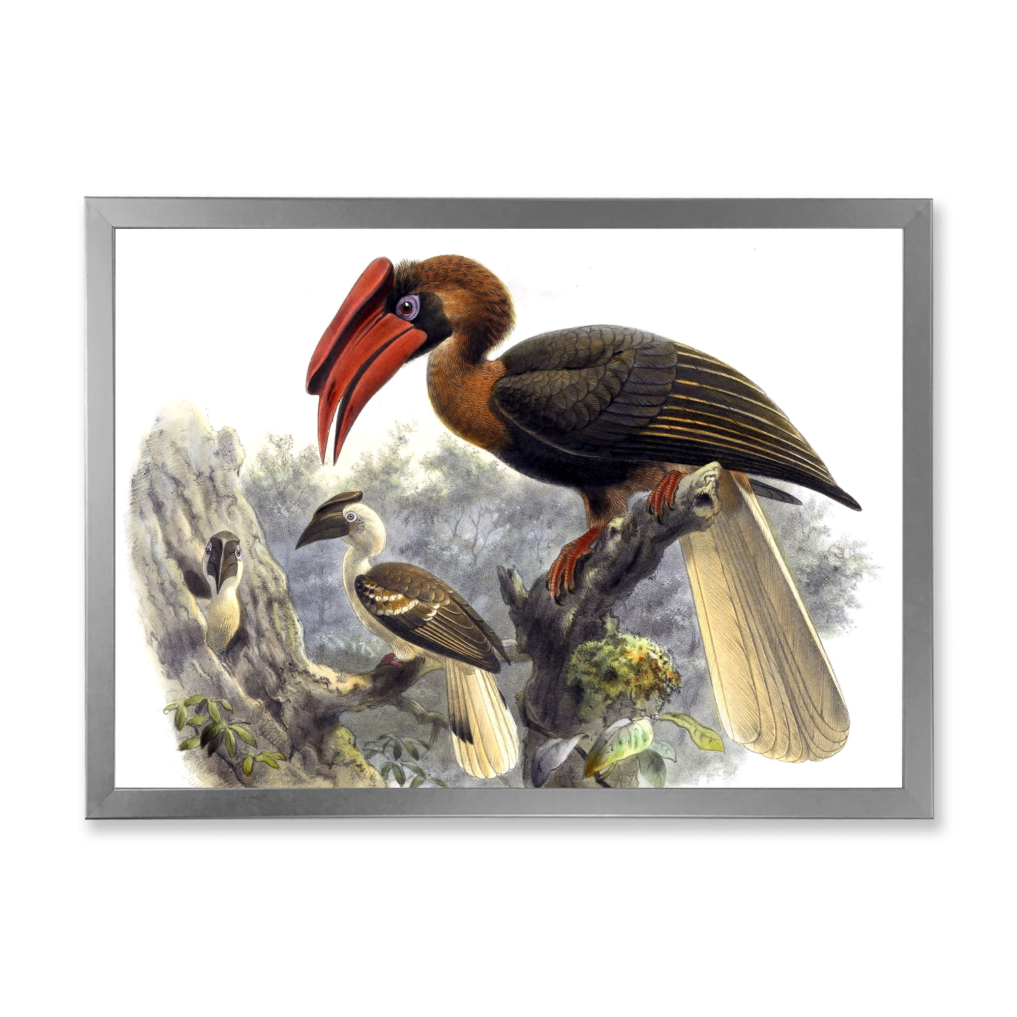Designart 'Ancient Australian Birds XI' Traditional Framed Art Print