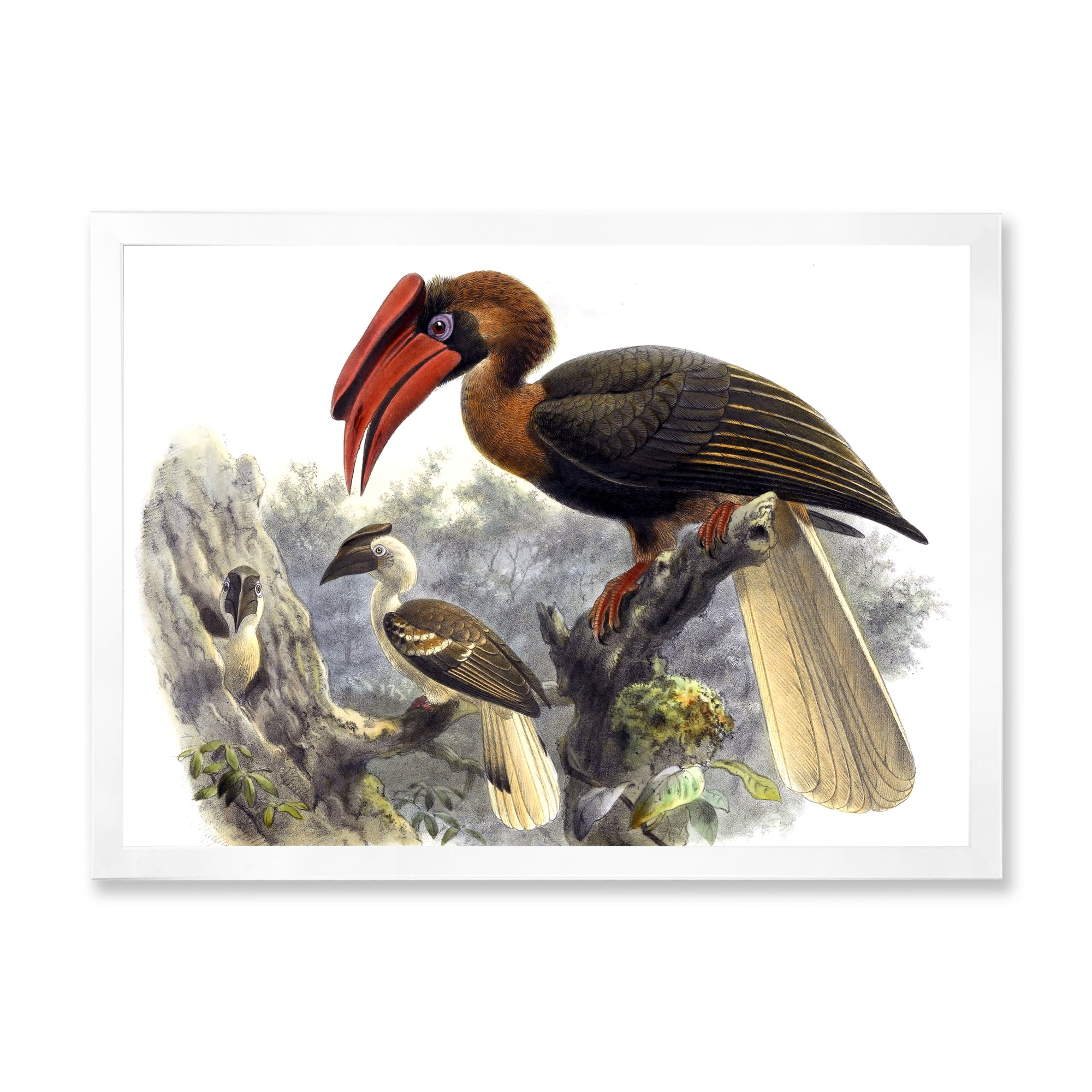 Designart 'Ancient Australian Birds XI' Traditional Framed Art Print