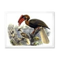 thumbnail image 1 of Designart 'Ancient Australian Birds XI' Traditional Framed Art Print, 1 of 4