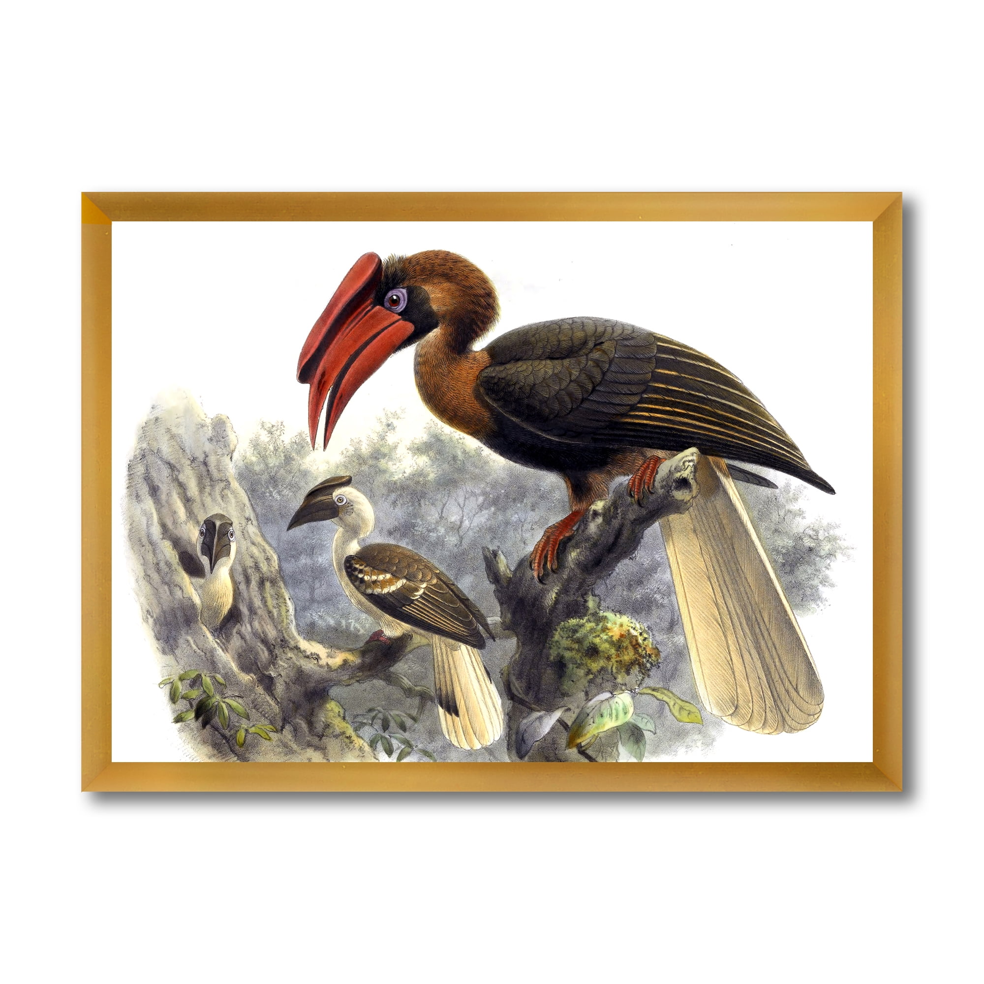 Designart 'Ancient Australian Birds XI' Traditional Framed Art Print