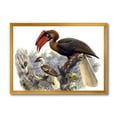 thumbnail image 1 of Designart 'Ancient Australian Birds XI' Traditional Framed Art Print, 1 of 4