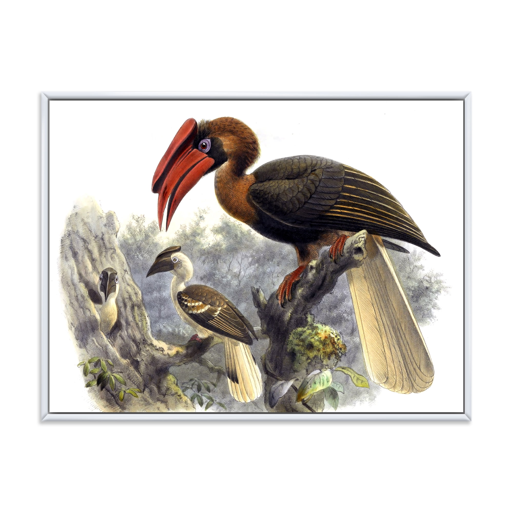 Designart 'Ancient Australian Birds XI' Traditional Framed Canvas Wall Art Print