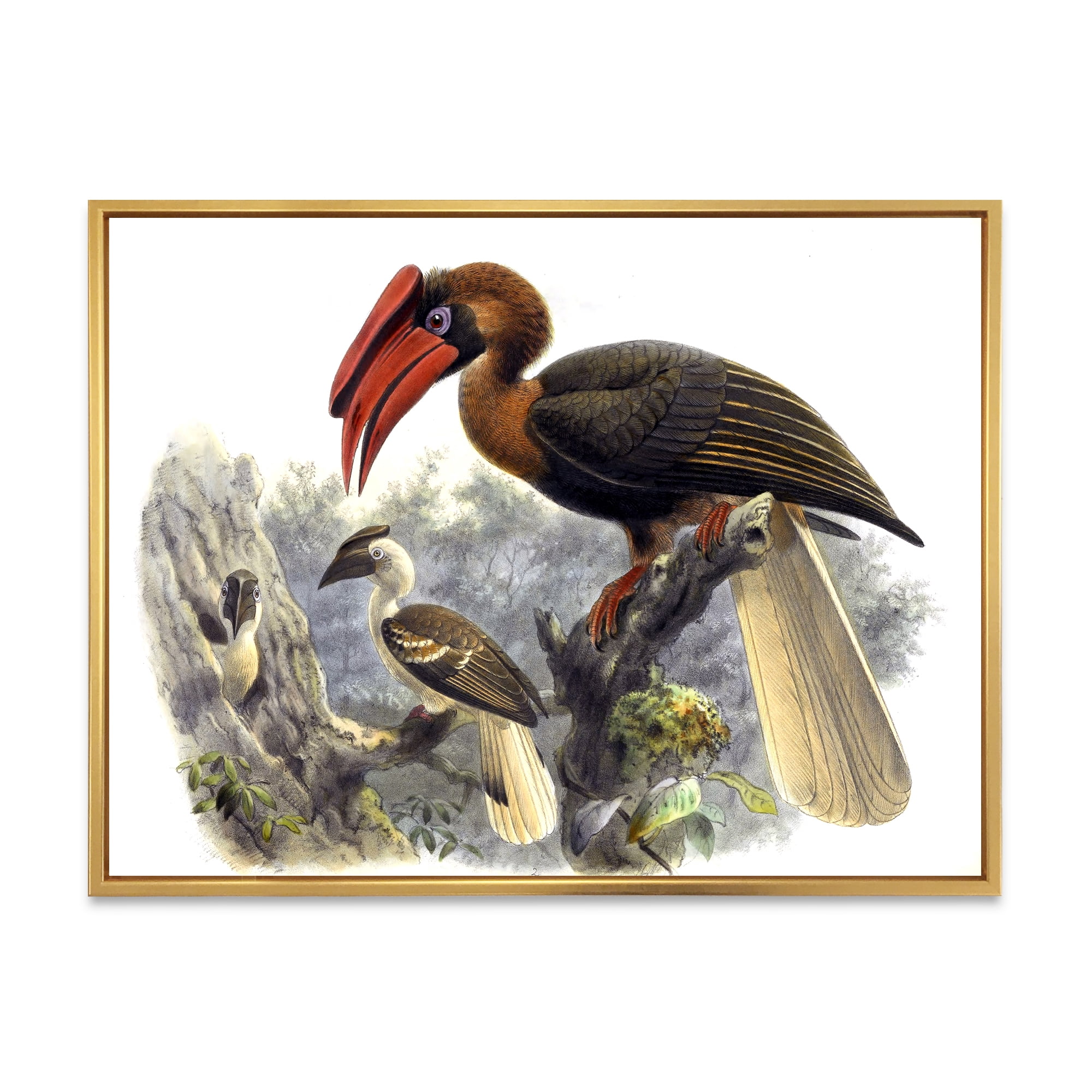 Designart 'Ancient Australian Birds XI' Traditional Framed Canvas Wall Art Print