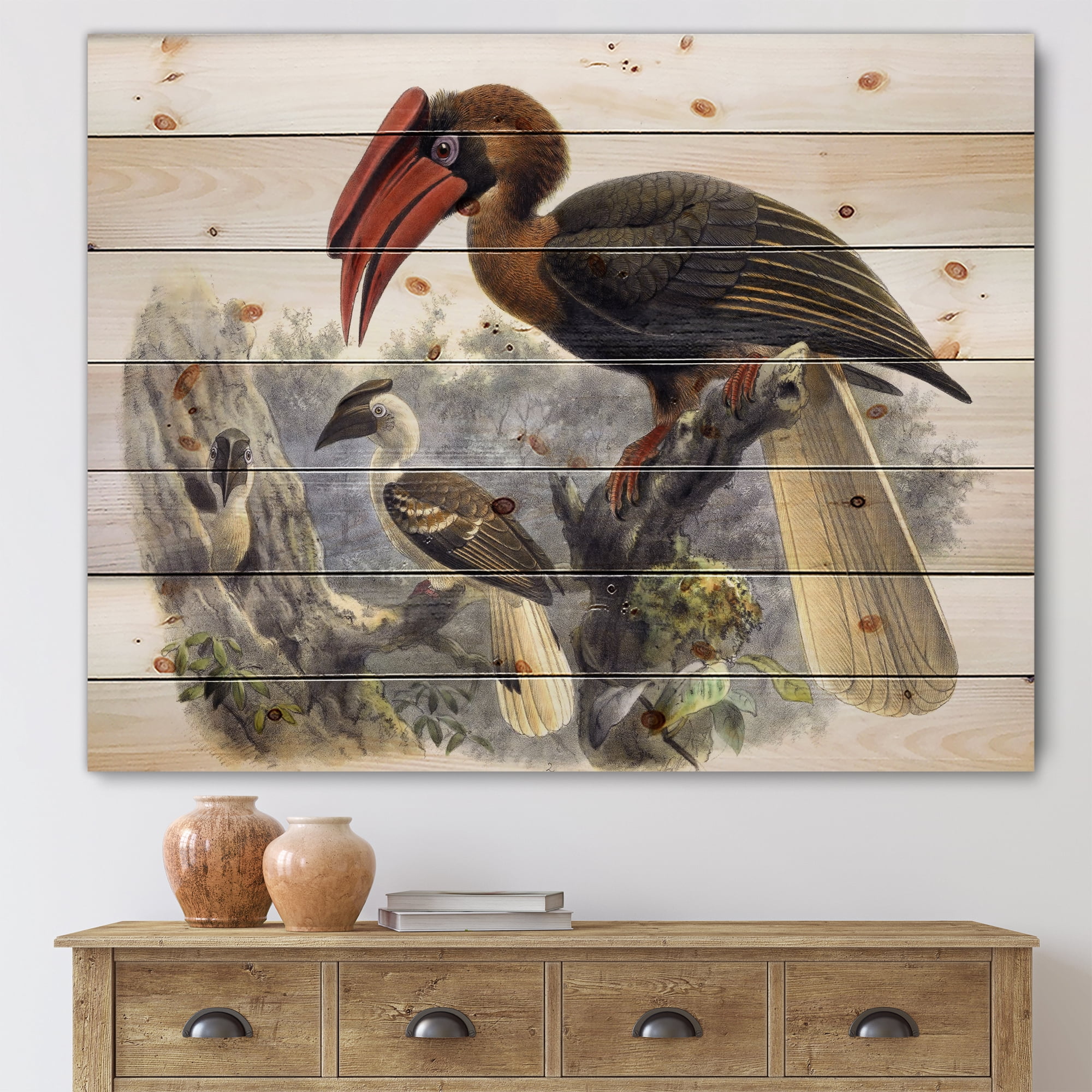 Designart 'Ancient Australian Birds XI' Traditional Print on Natural Pine Wood