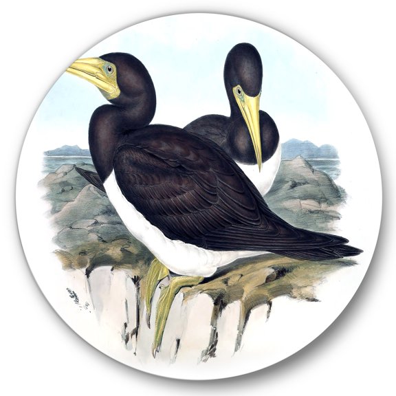 Designart 'Ancient Australian Birds XII' Traditional Circle Metal Wall Art 36x36 - Disc of 36