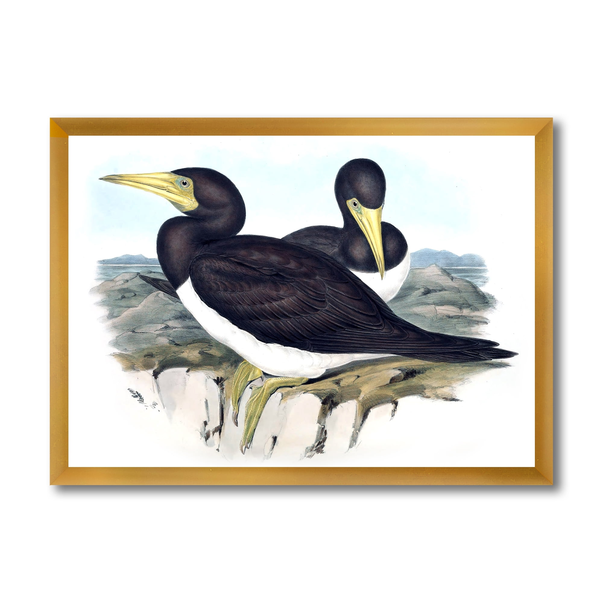 Designart 'Ancient Australian Birds XII' Traditional Framed Art Print