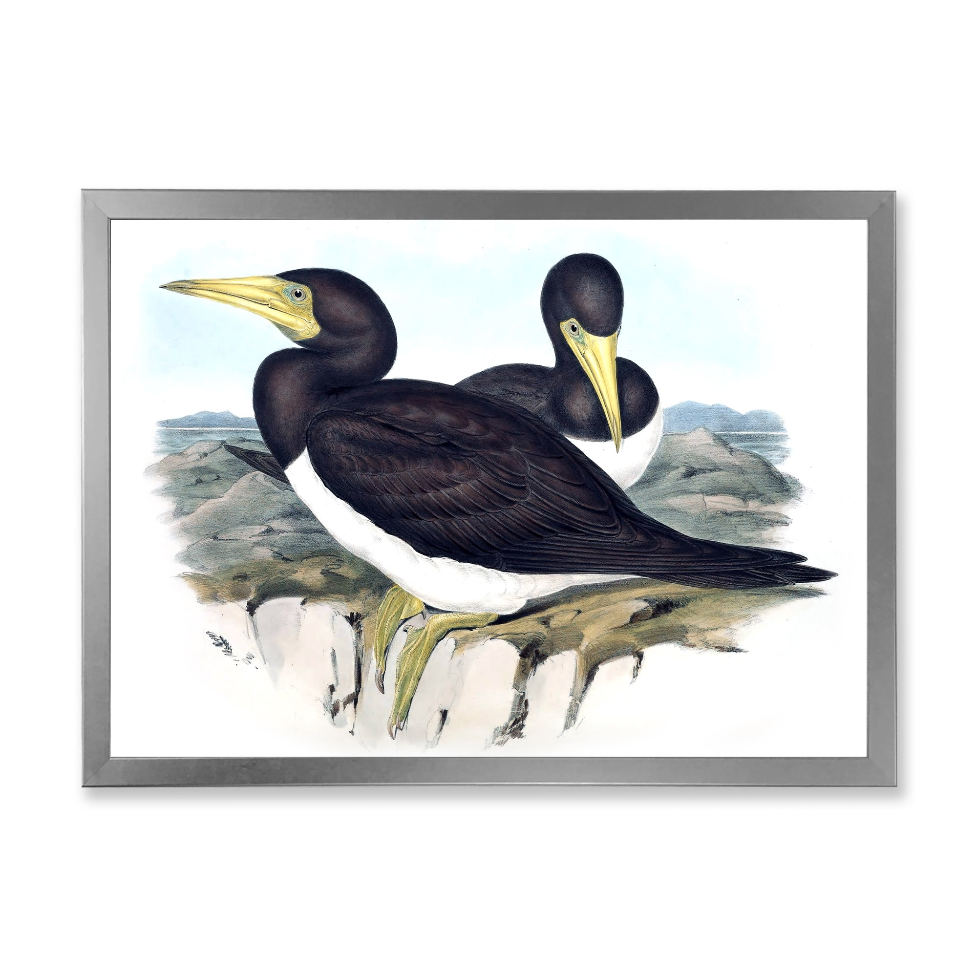 Designart 'Ancient Australian Birds XII' Traditional Framed Art Print