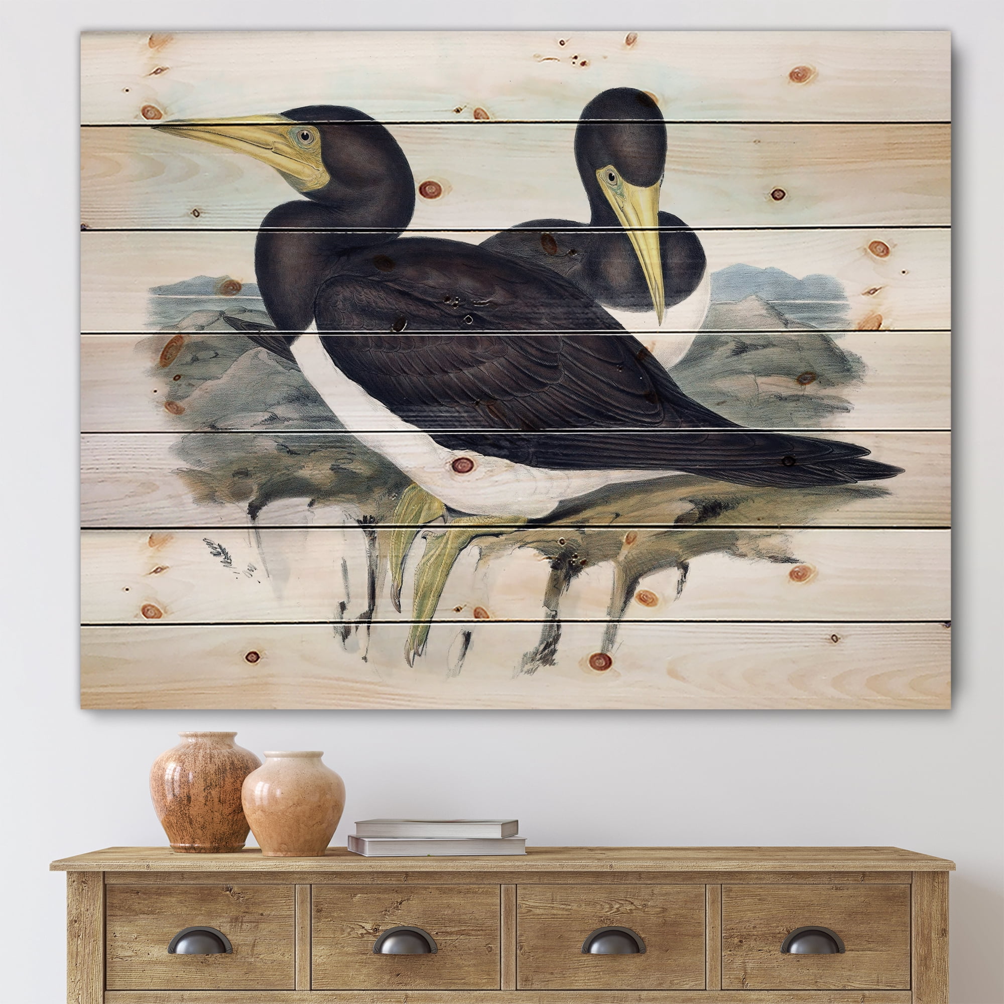 Designart 'Ancient Australian Birds XII' Traditional Print on Natural Pine Wood