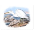 thumbnail image 1 of Designart ' Ancient Australian Birds XIII ' Traditional Canvas Wall Art Print, 1 of 4