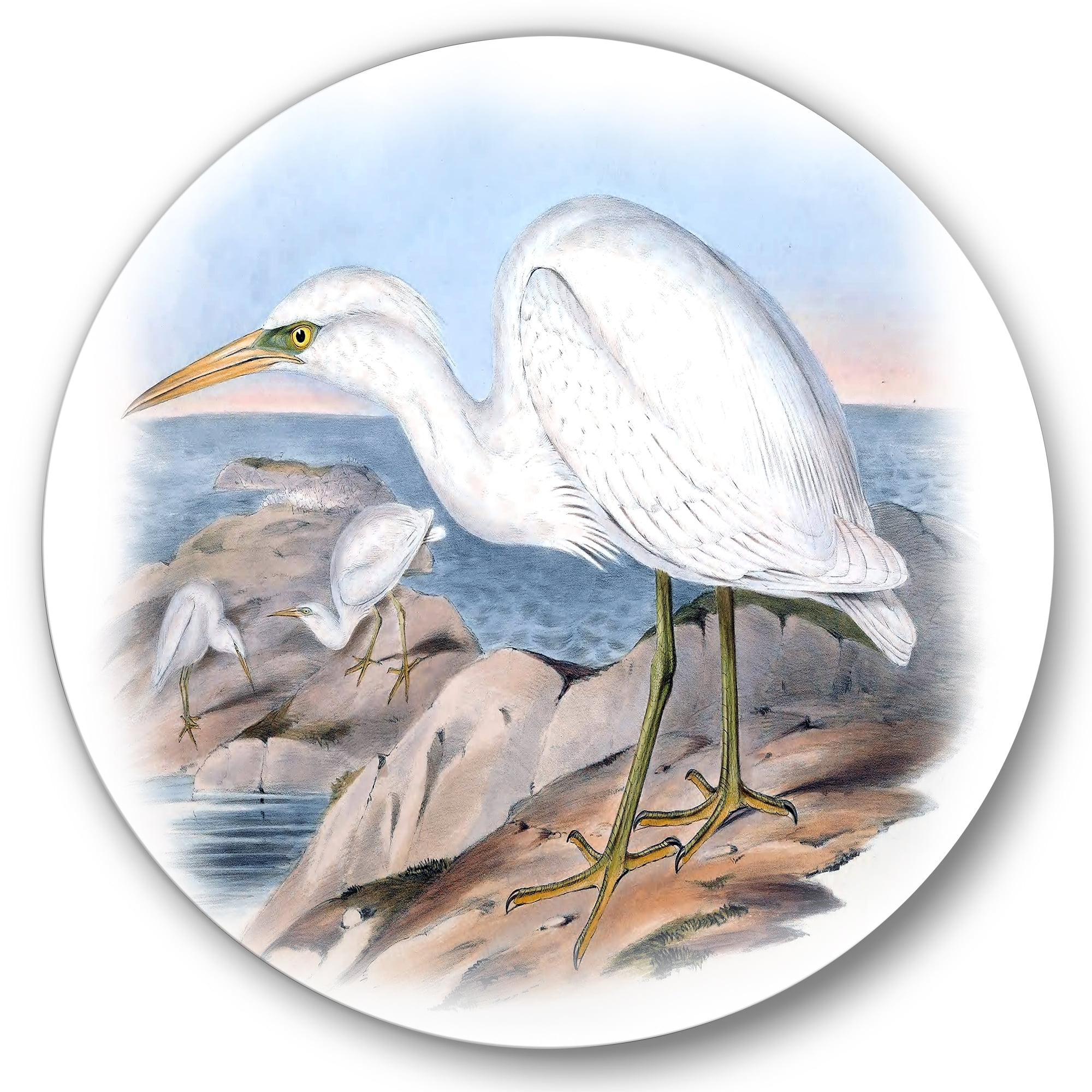 Designart 'Ancient Australian Birds XIII' Traditional Circle Metal Wall Art 23x23 - Disc of 23
