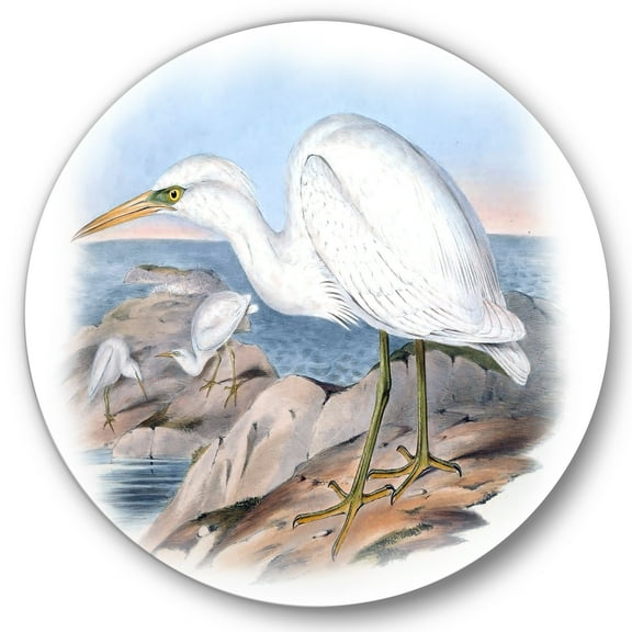 Designart 'Ancient Australian Birds XIII' Traditional Circle Metal Wall Art 36x36 - Disc of 36