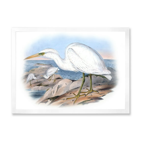 Designart 'Ancient Australian Birds XIII' Traditional Framed Art Print