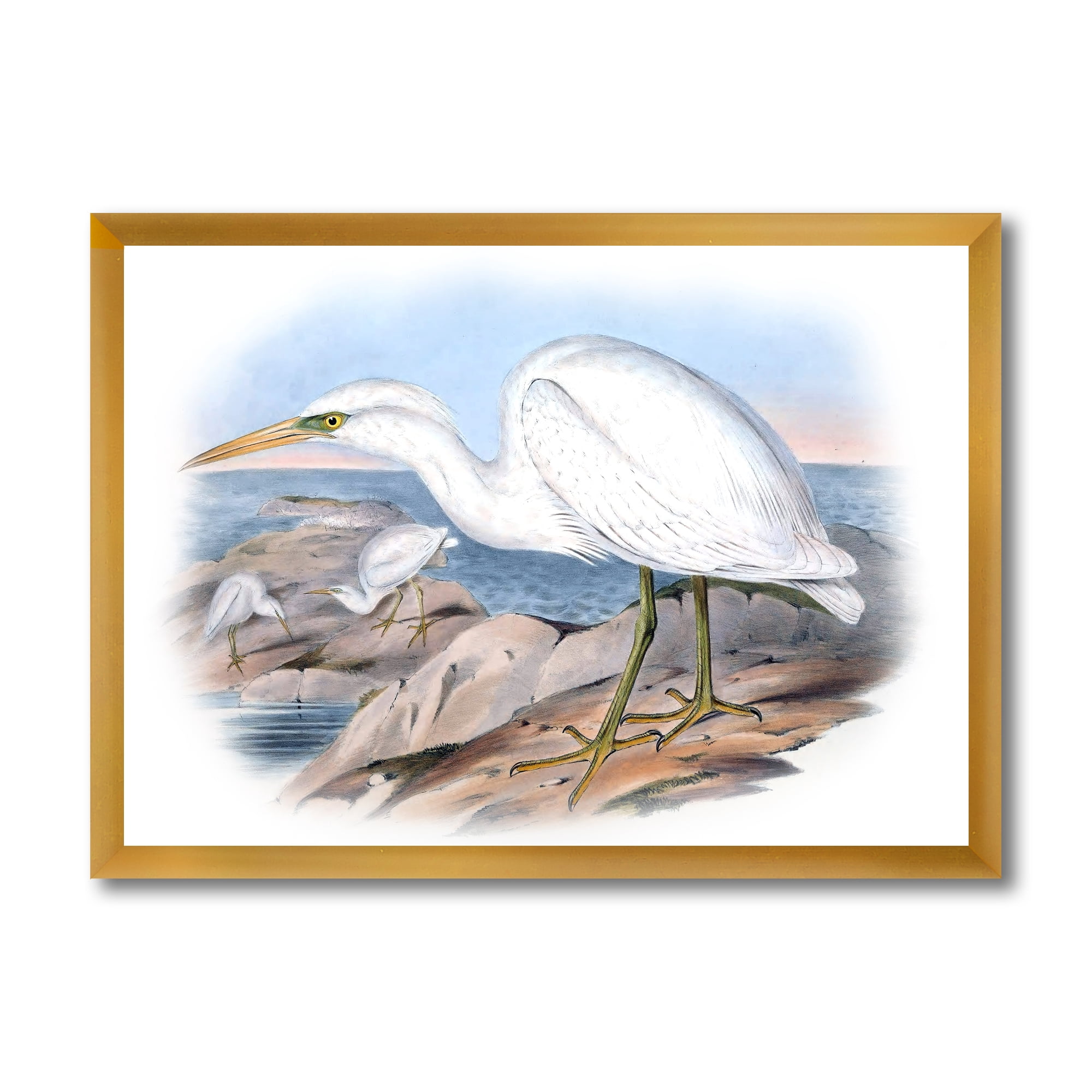 Designart 'Ancient Australian Birds XIII' Traditional Framed Art Print
