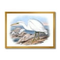 thumbnail image 1 of Designart 'Ancient Australian Birds XIII' Traditional Framed Art Print, 1 of 4