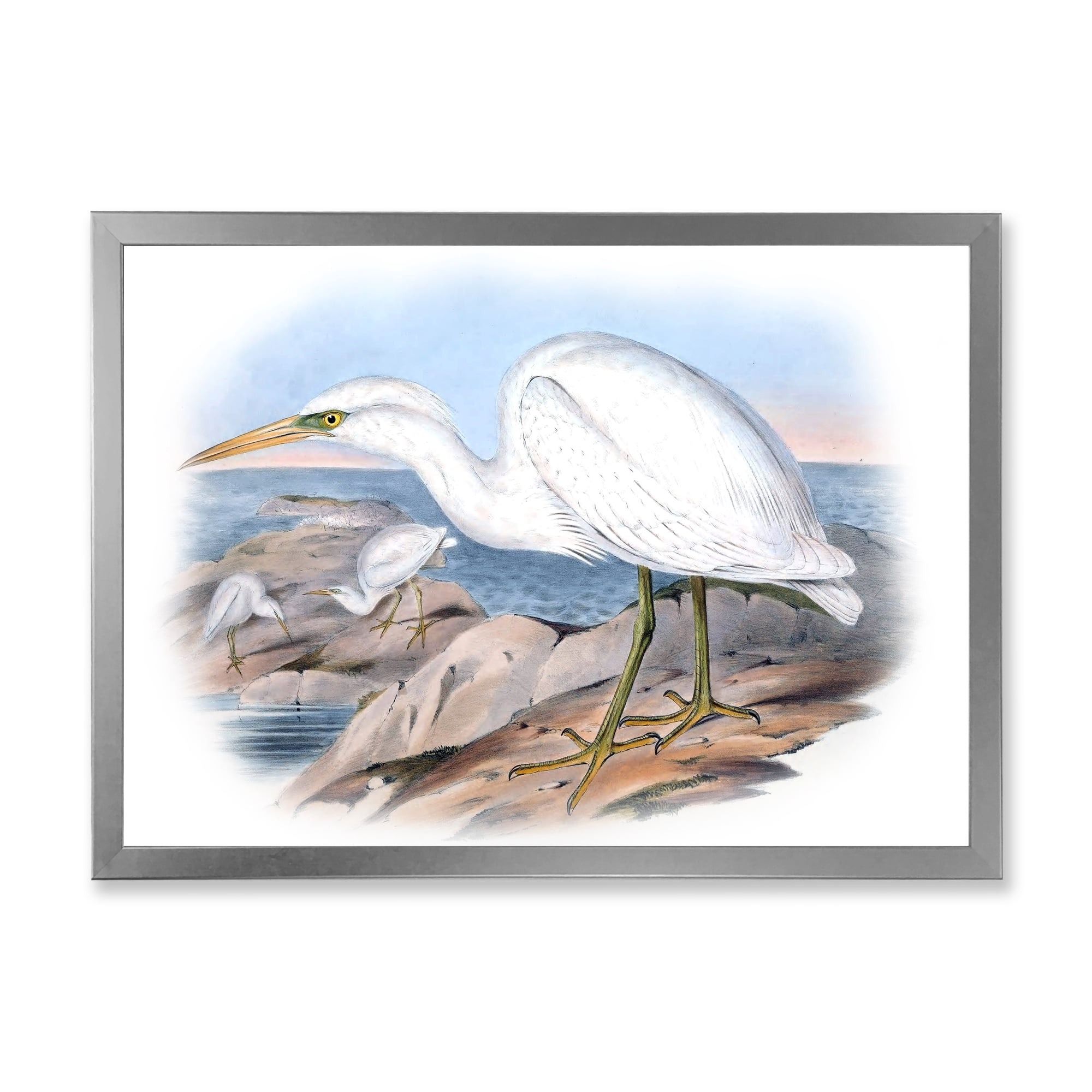 Designart 'Ancient Australian Birds XIII' Traditional Framed Art Print