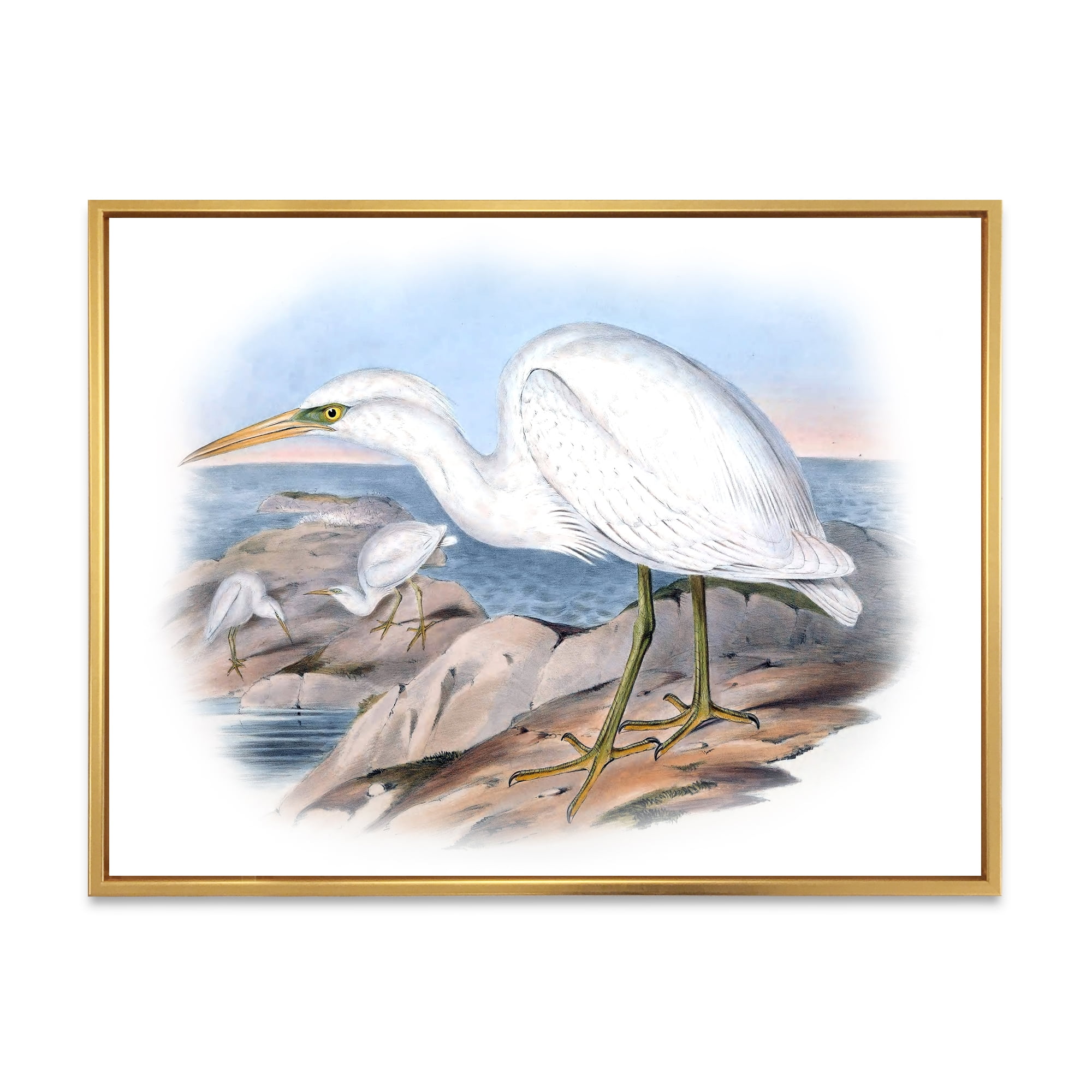 Designart 'Ancient Australian Birds XIII' Traditional Framed Canvas Wall Art Print
