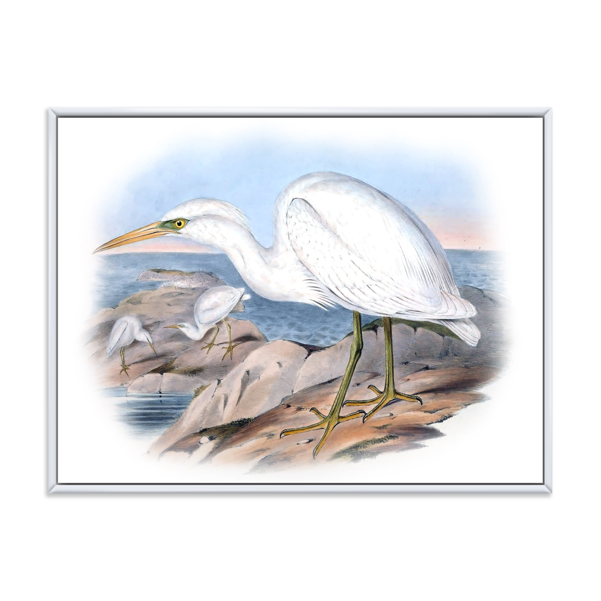 Designart 'Ancient Australian Birds XIII' Traditional Framed Canvas Wall Art Print