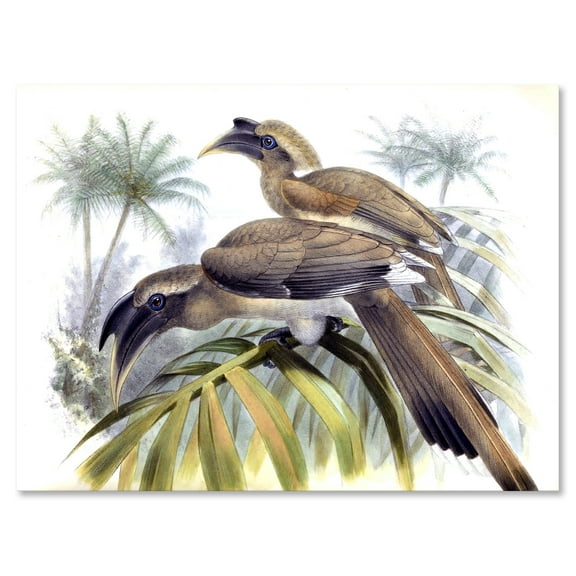 Designart ' Ancient Australian Birds XIV ' Traditional Canvas Wall Art Print