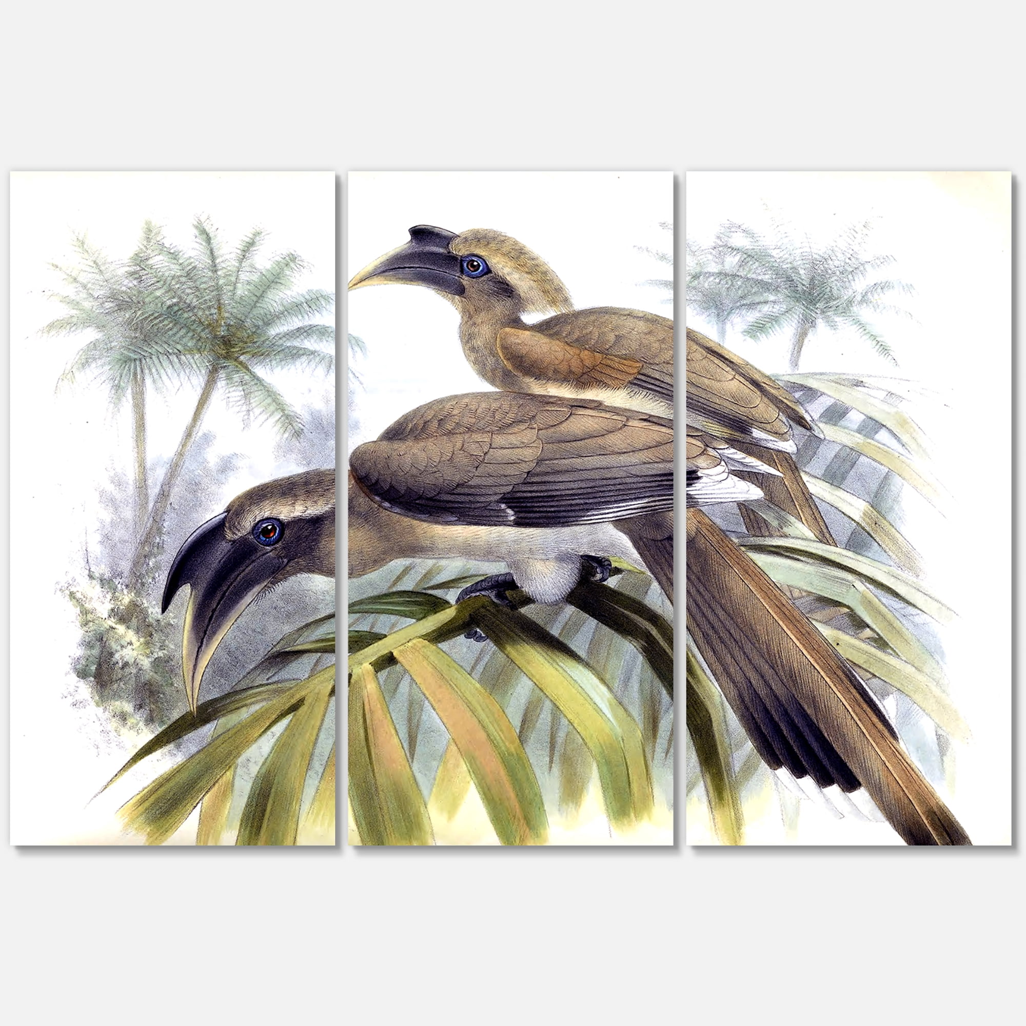 Designart ' Ancient Australian Birds XIV ' Traditional Canvas Wall Art Print
