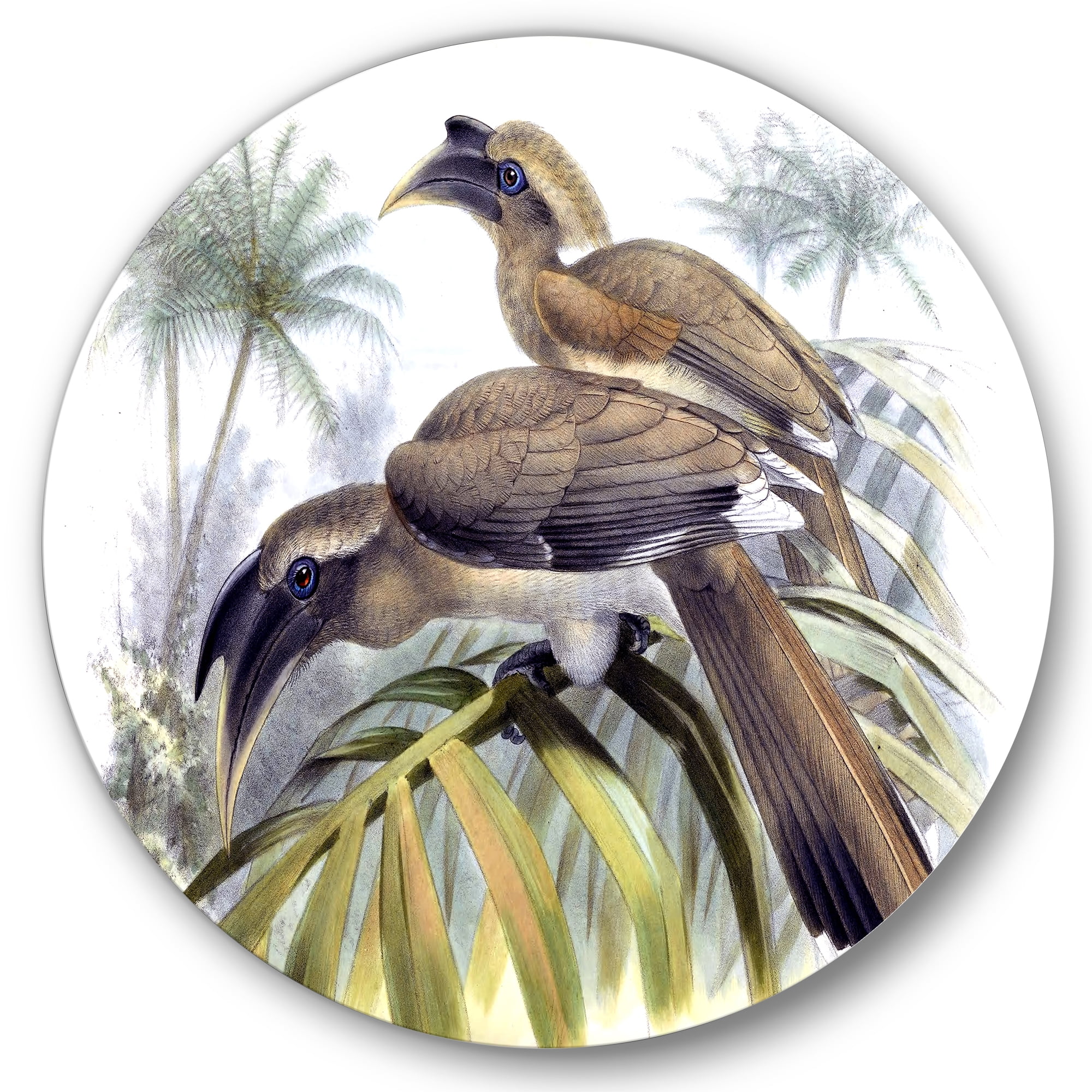 Designart 'Ancient Australian Birds XIV' Traditional Circle Metal Wall Art 23x23 - Disc of 23