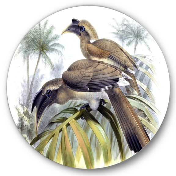 Designart 'Ancient Australian Birds XIV' Traditional Circle Metal Wall Art 36x36 - Disc of 36