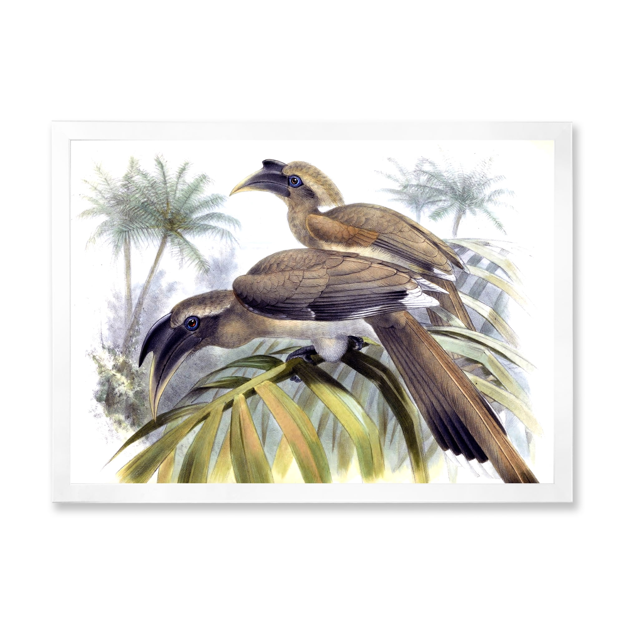 Designart 'Ancient Australian Birds XIV' Traditional Framed Art Print