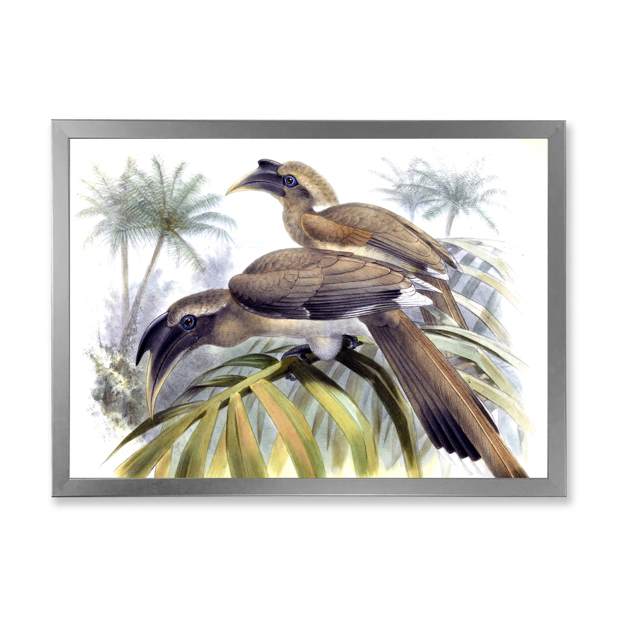 Designart 'Ancient Australian Birds XIV' Traditional Framed Art Print