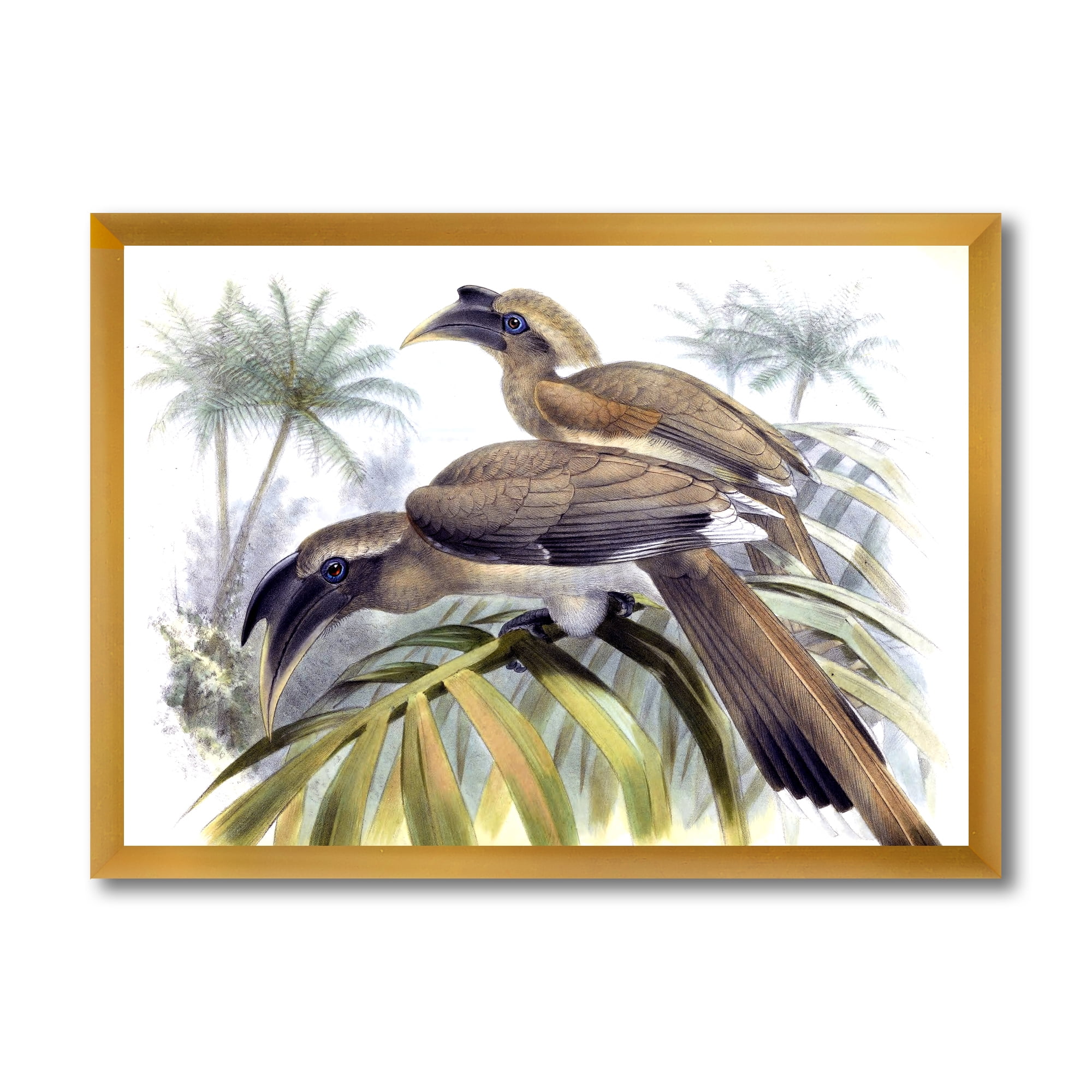 Designart 'Ancient Australian Birds XIV' Traditional Framed Art Print