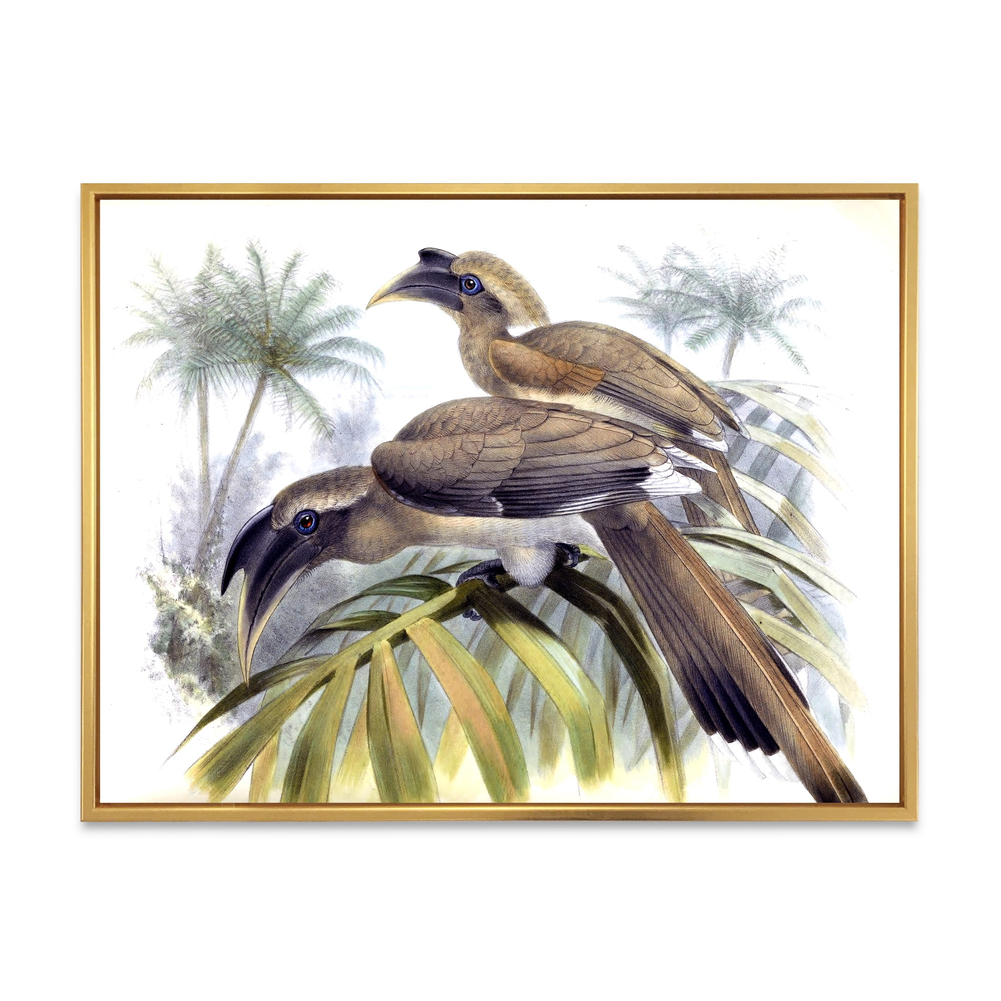 Designart 'Ancient Australian Birds XIV' Traditional Framed Canvas Wall Art Print