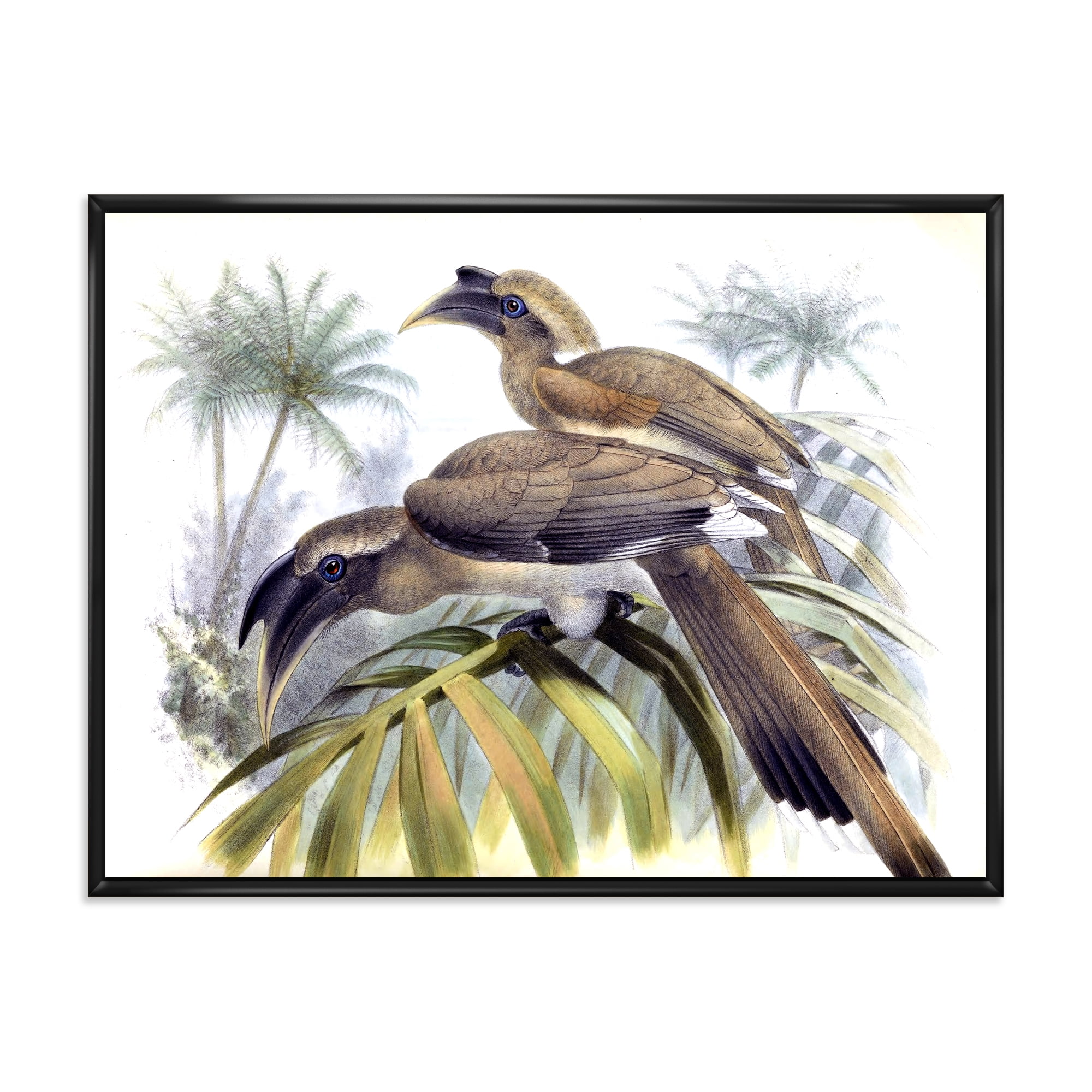Designart 'Ancient Australian Birds XIV' Traditional Framed Canvas Wall Art Print