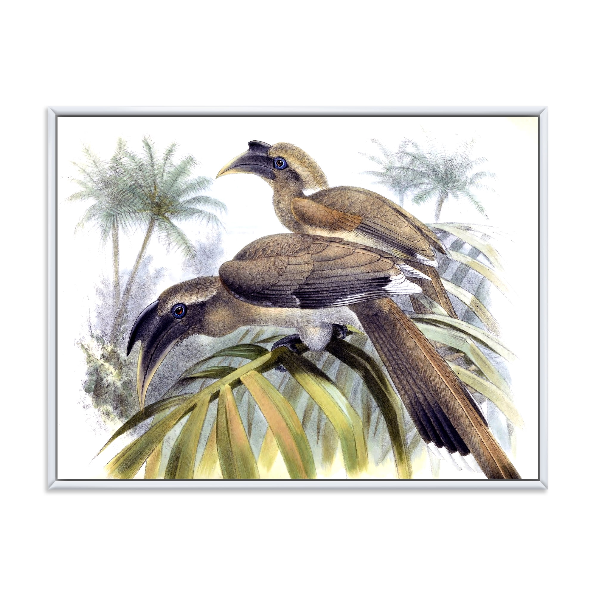Designart 'Ancient Australian Birds XIV' Traditional Framed Canvas Wall Art Print