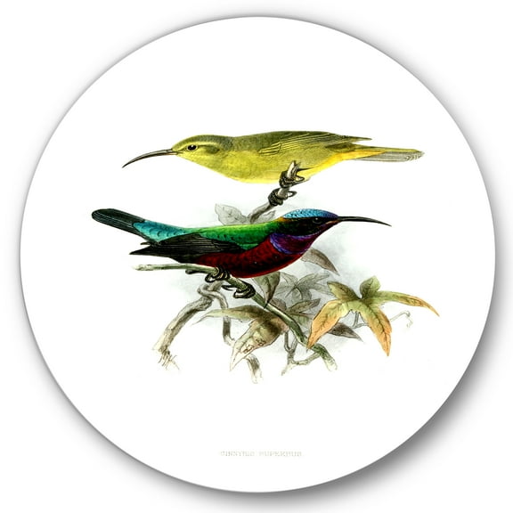 Designart 'Ancient Australian Birds XV' Traditional Circle Metal Wall Art 36x36 - Disc of 36