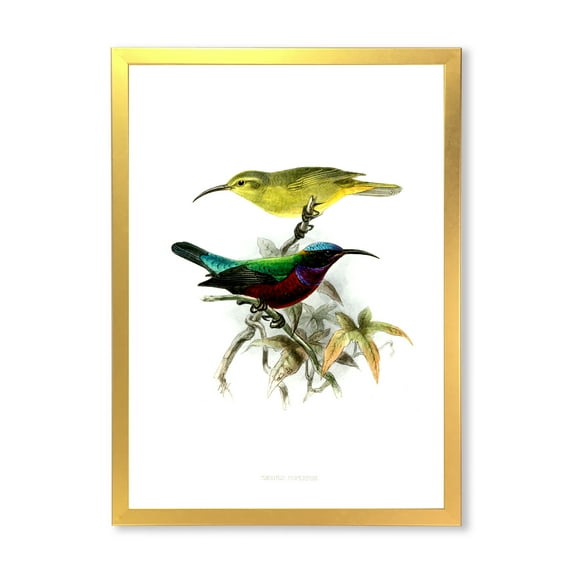 Designart 'Ancient Australian Birds XV' Traditional Framed Art Print