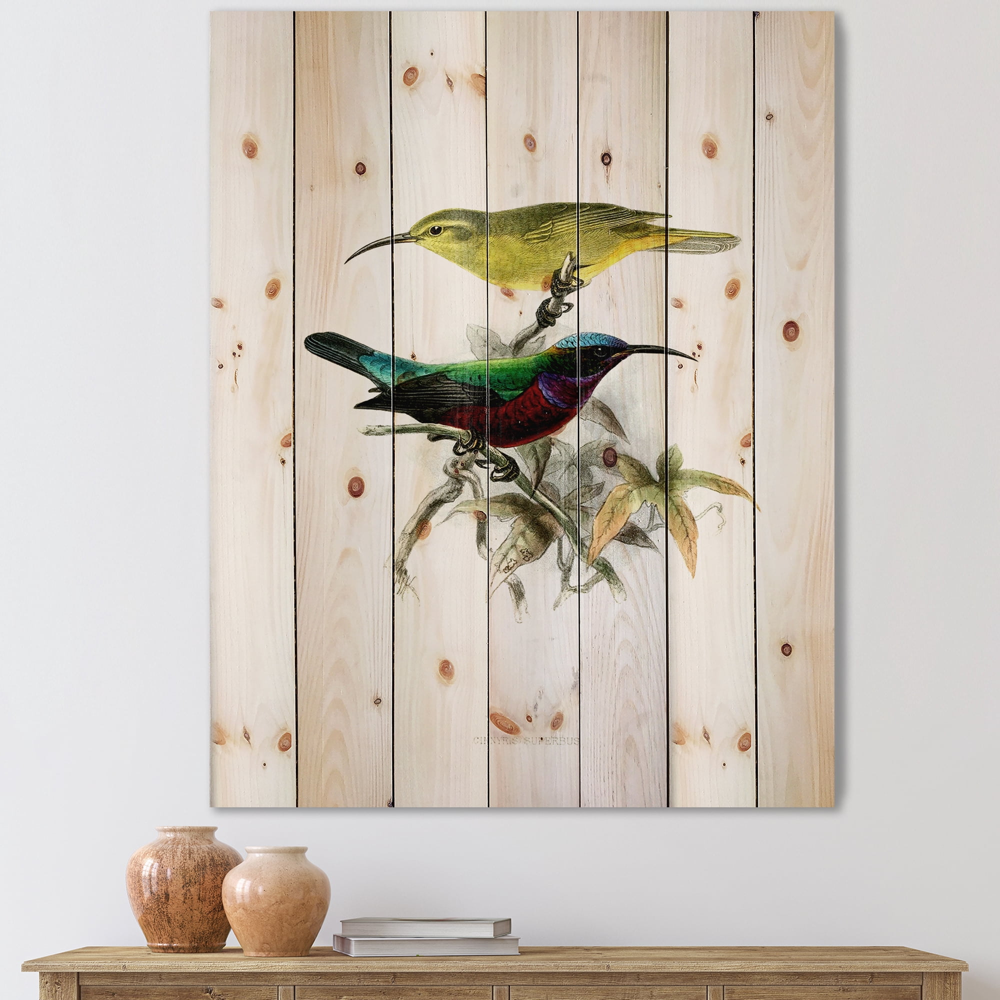 Designart 'Ancient Australian Birds XV' Traditional Print on Natural Pine Wood