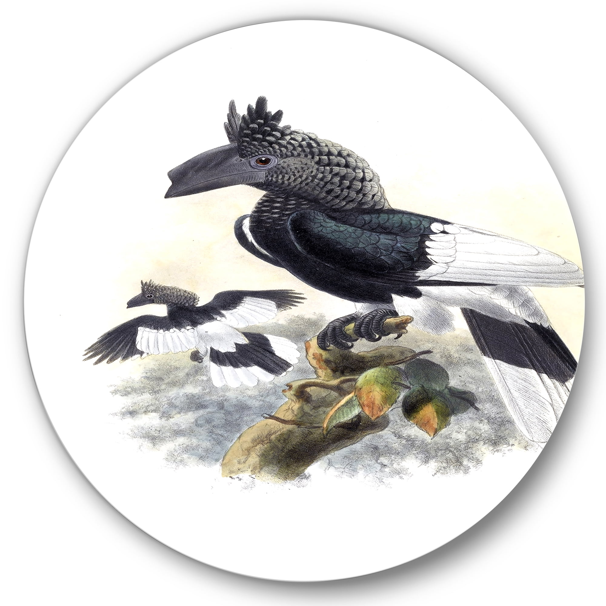 Designart 'Ancient Australian Birds XVI' Traditional Circle Metal Wall Art 23x23 - Disc of 23