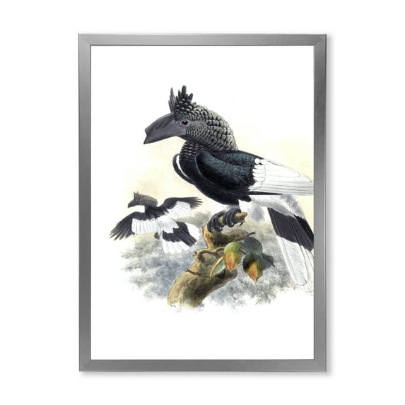 Designart 'Ancient Australian Birds XVI' Traditional Framed Art Print