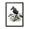 thumbnail image 1 of Designart 'Ancient Australian Birds XVI' Traditional Framed Art Print, 1 of 4
