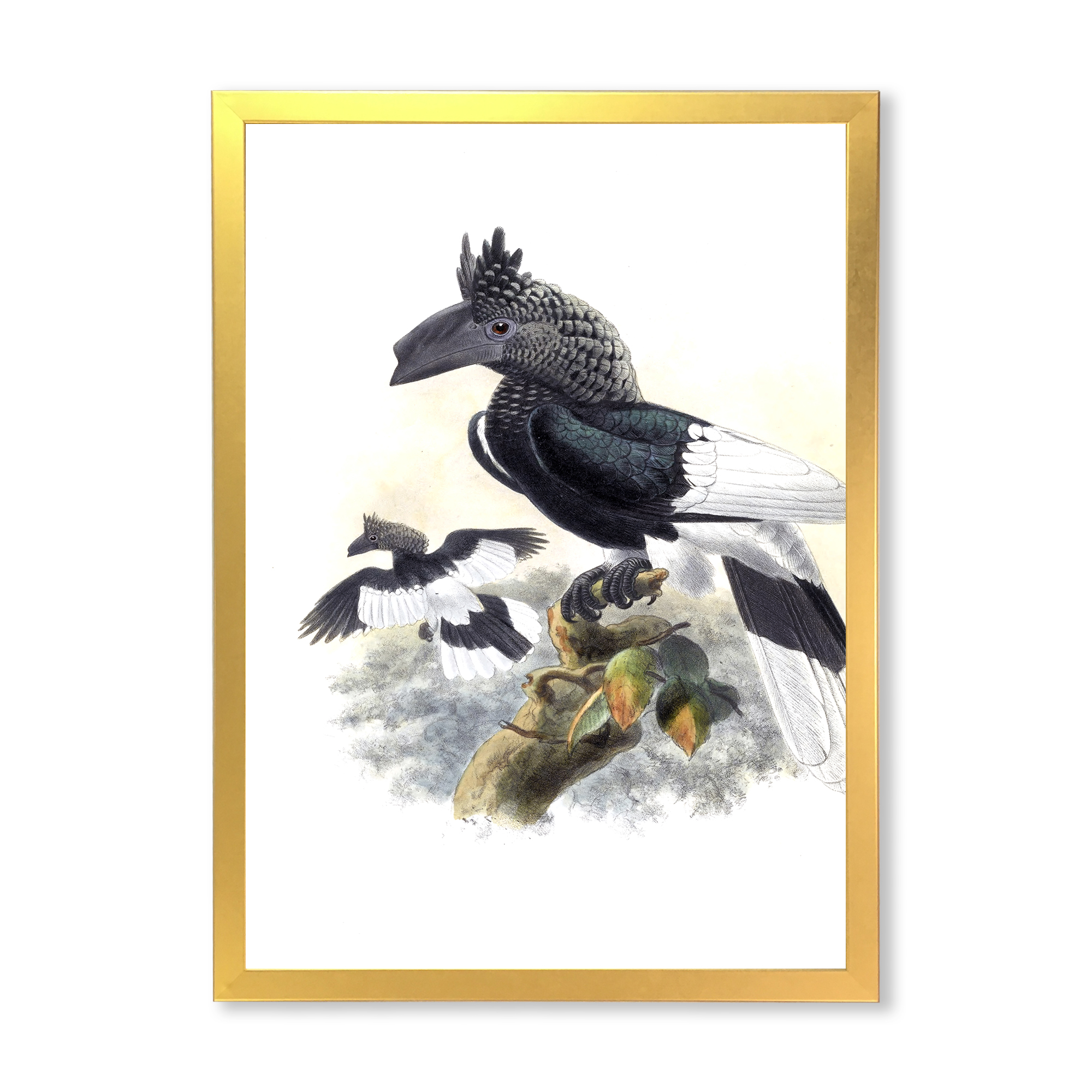 Designart 'Ancient Australian Birds XVI' Traditional Framed Art Print